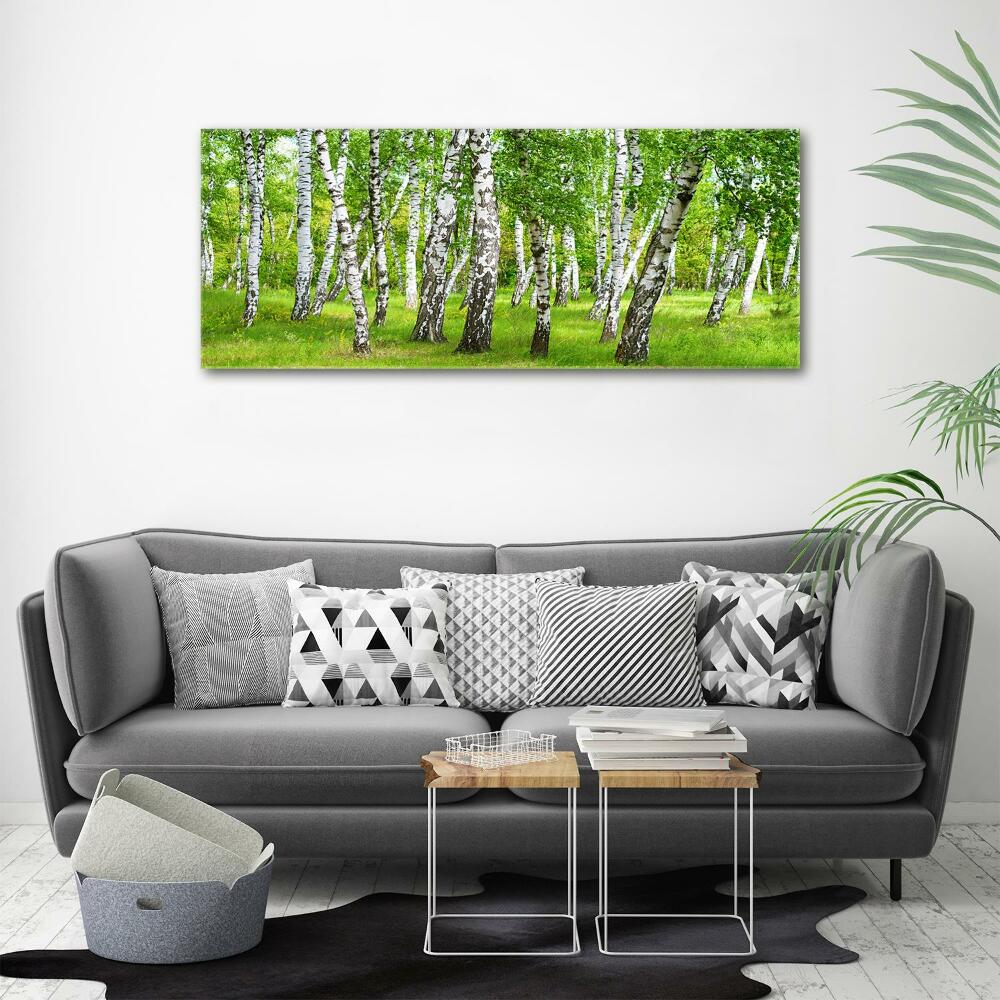 Canvas wall art Birch forest