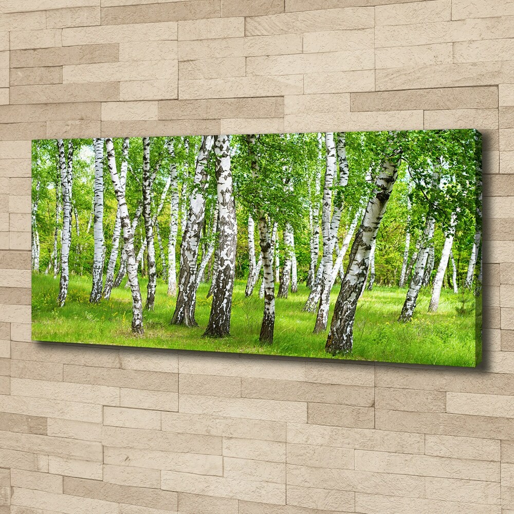 Canvas wall art Birch forest