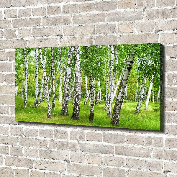 Canvas wall art Birch forest