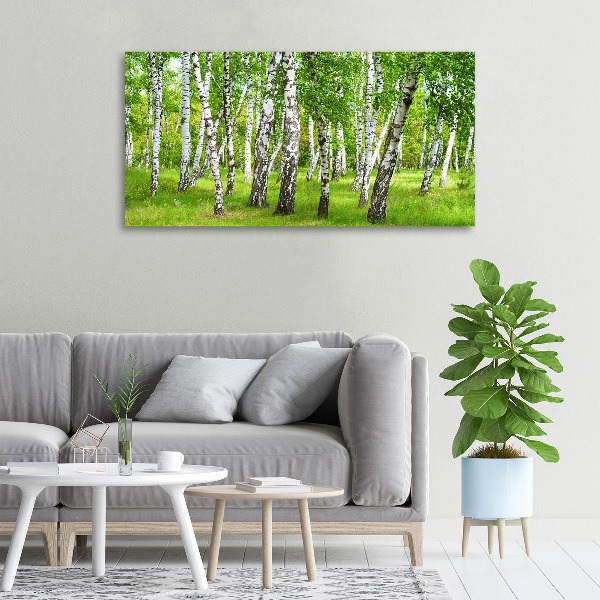 Canvas wall art Birch forest