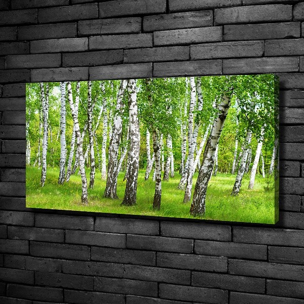 Canvas wall art Birch forest