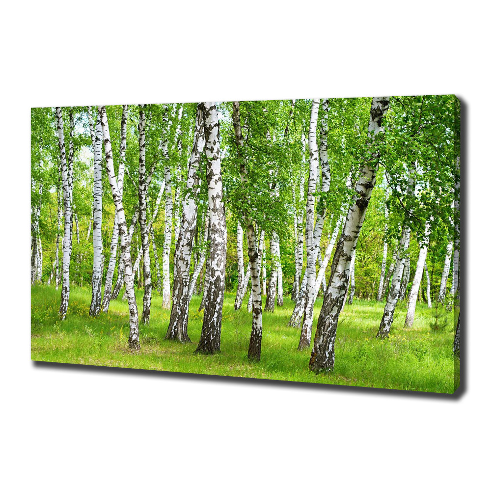 Canvas wall art Birch forest