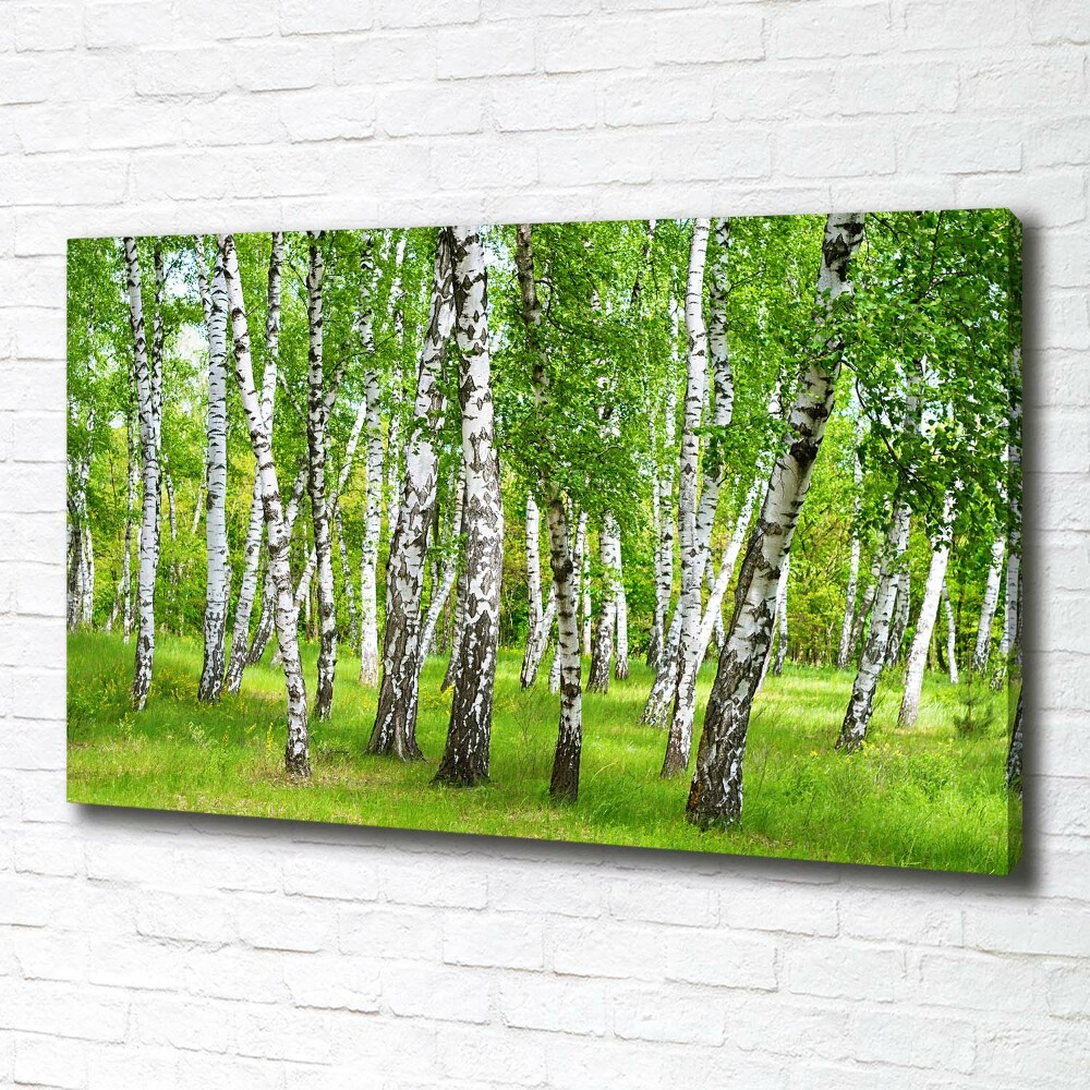 Canvas wall art Birch forest