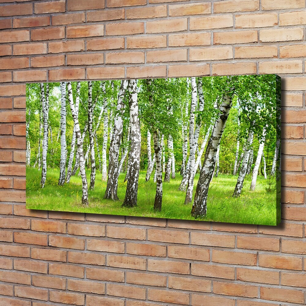 Canvas wall art Birch forest