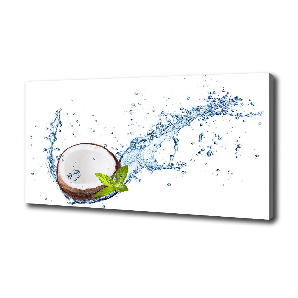 Canvas wall art Coconut and water