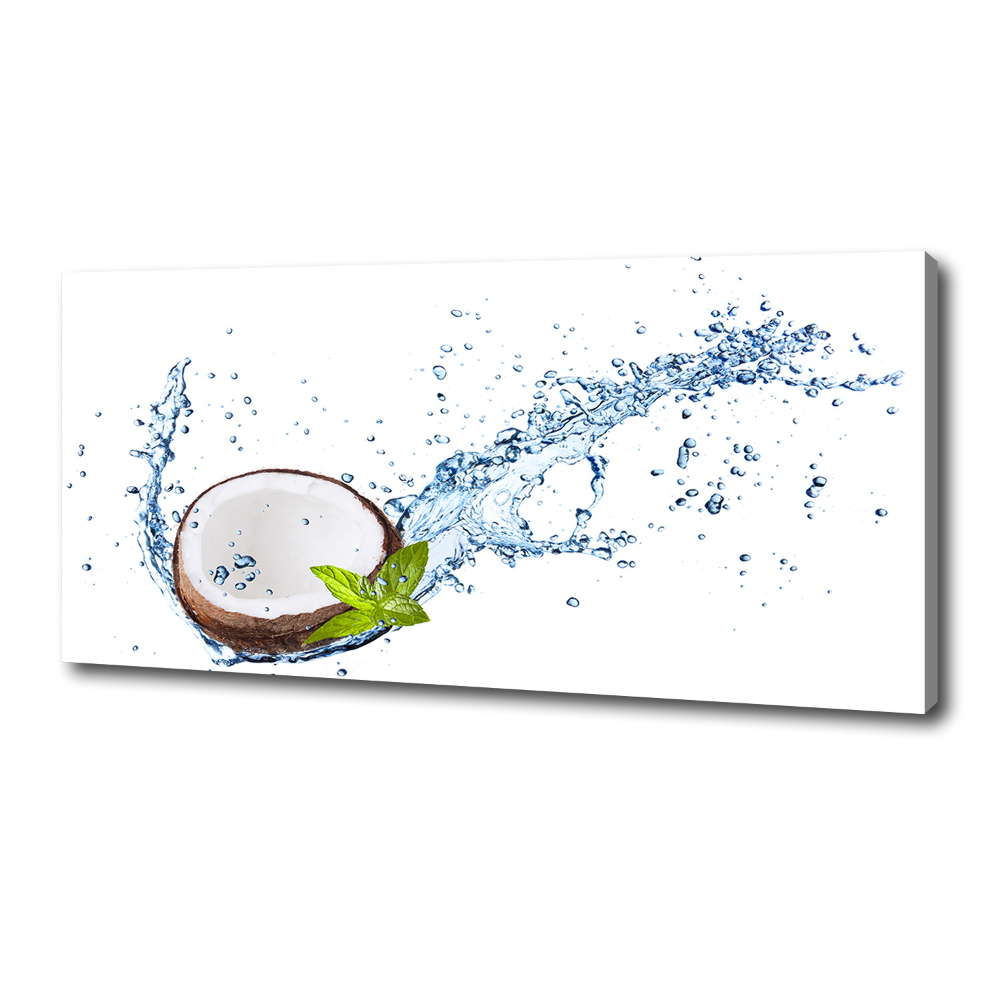 Canvas wall art Coconut and water