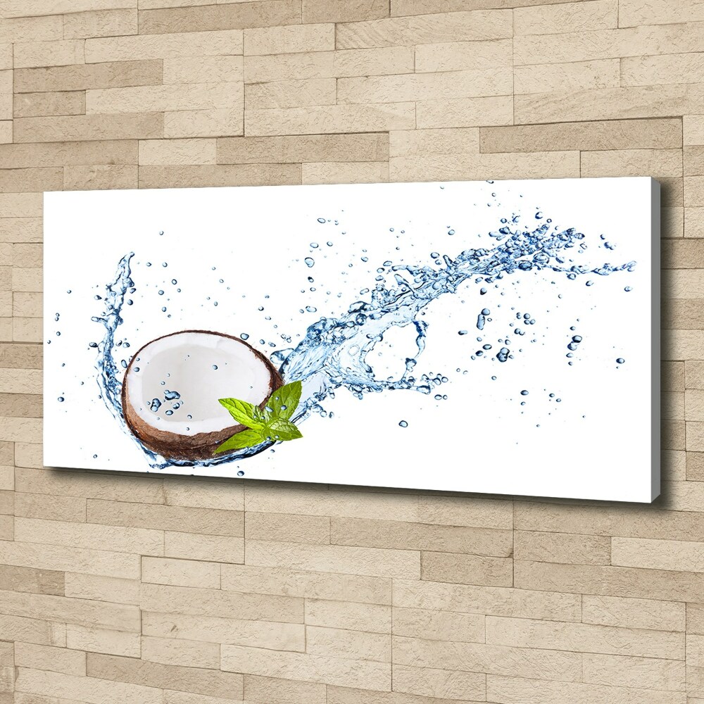 Canvas wall art Coconut and water