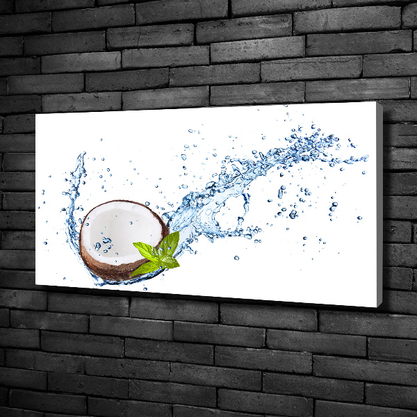 Canvas wall art Coconut and water