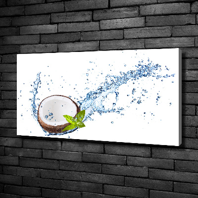 Canvas wall art Coconut and water