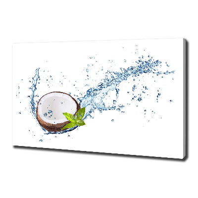 Canvas wall art Coconut and water