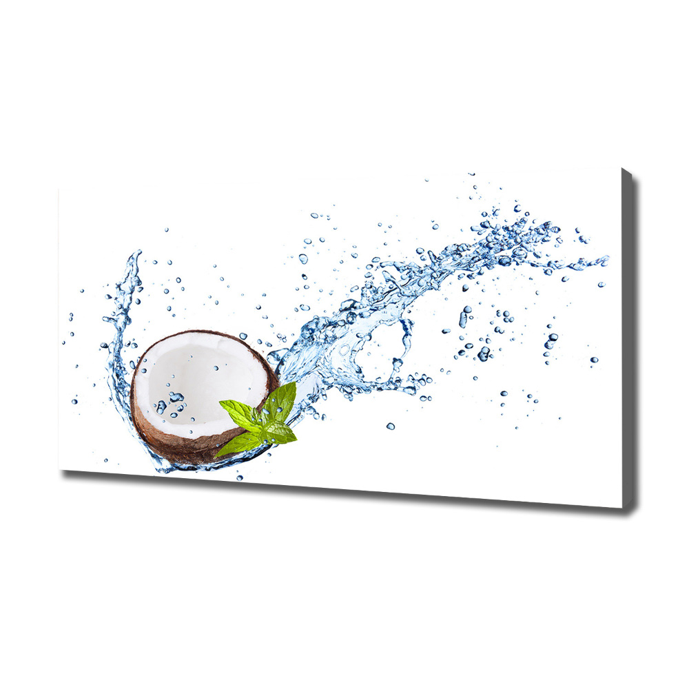 Canvas wall art Coconut and water