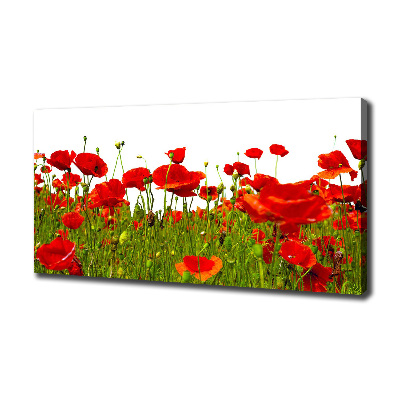 Canvas wall art Field poppies