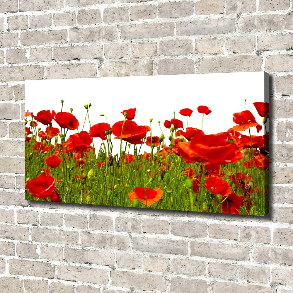 Canvas wall art Field poppies