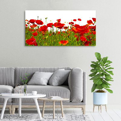 Canvas wall art Field poppies