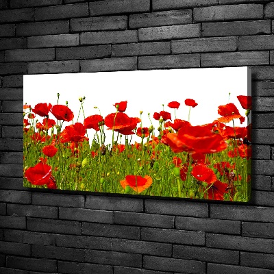 Canvas wall art Field poppies