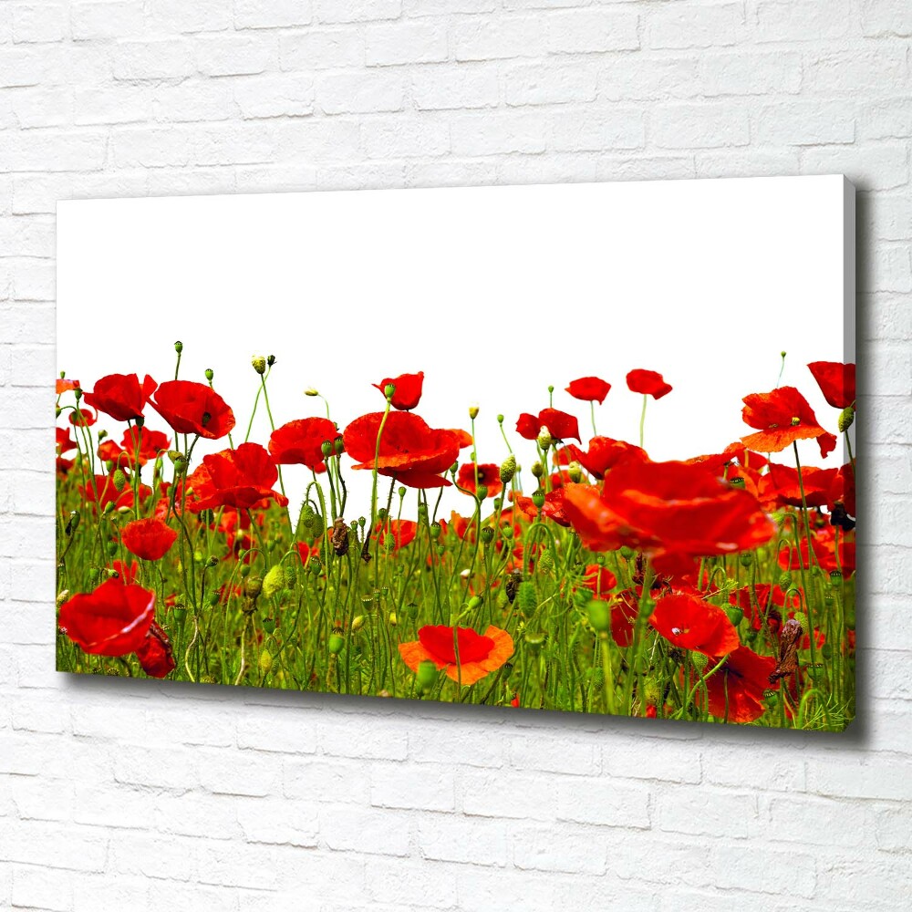 Canvas wall art Field poppies