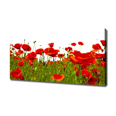 Canvas wall art Field poppies