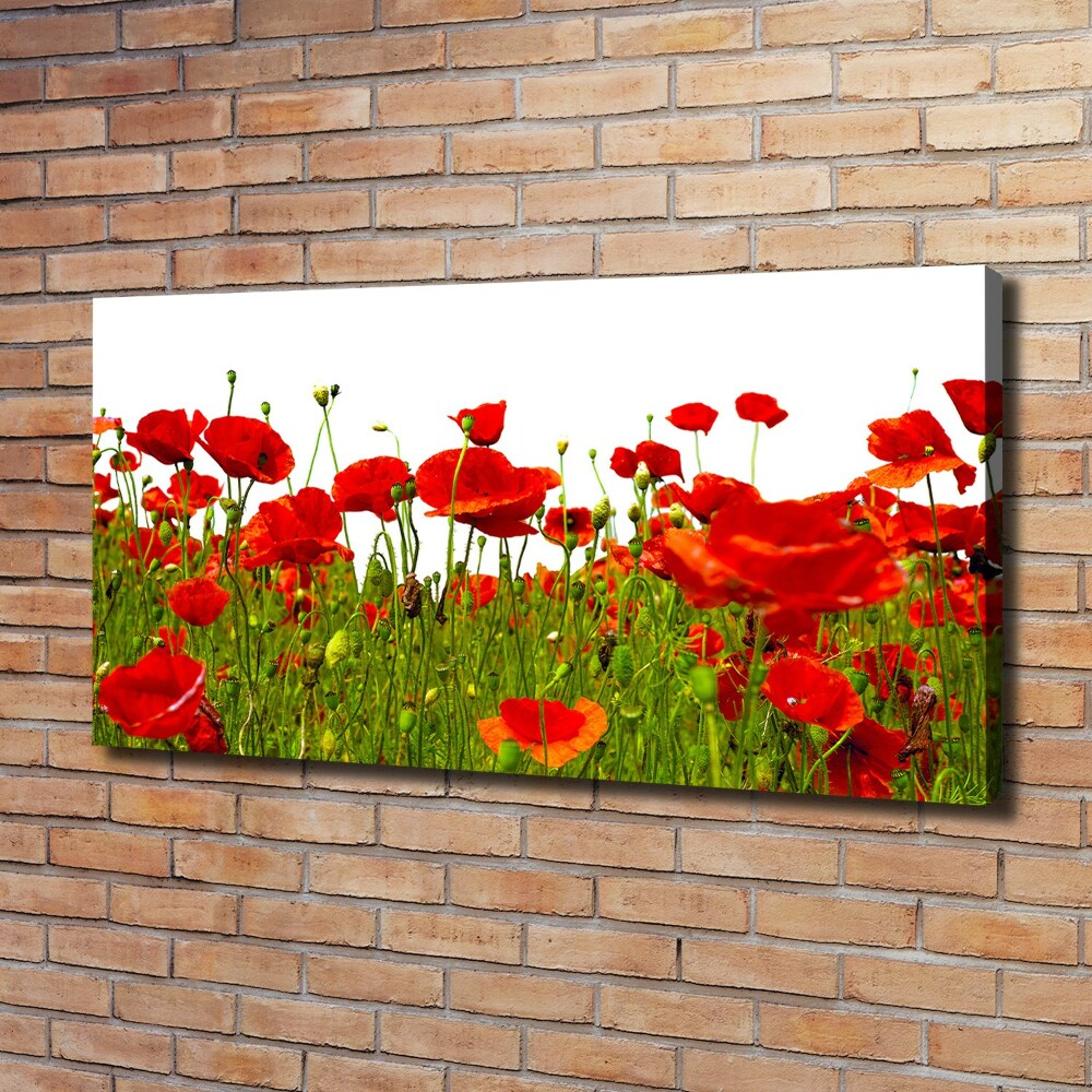 Canvas wall art Field poppies