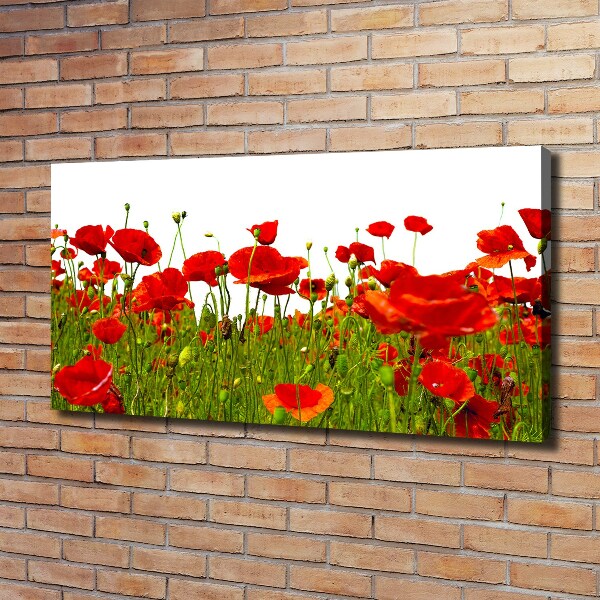 Canvas wall art Field poppies