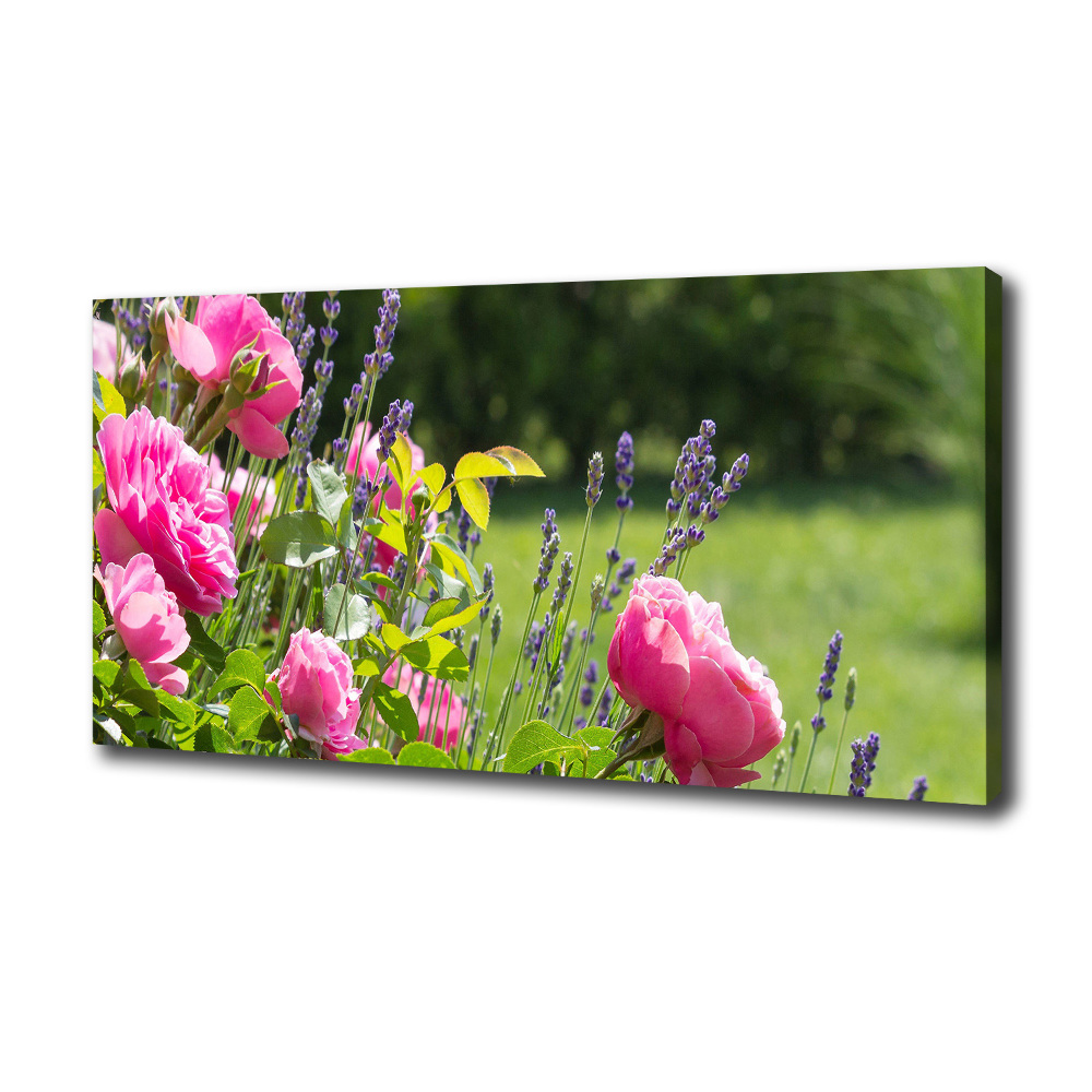 Canvas wall art Wild Rose