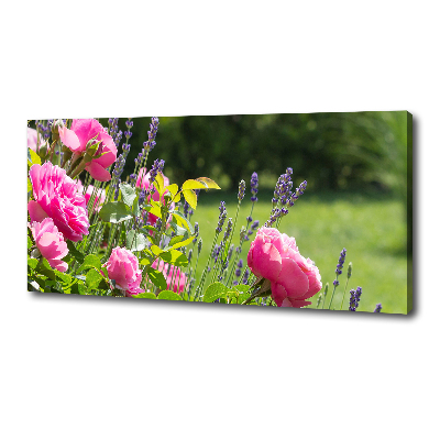 Canvas wall art Wild Rose