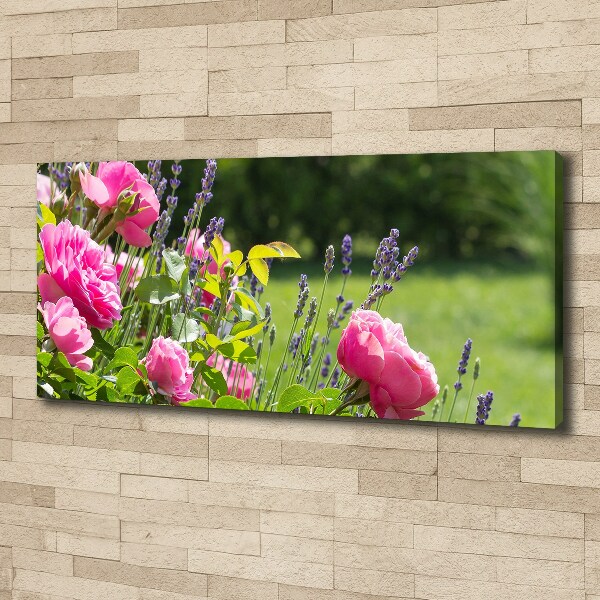 Canvas wall art Wild Rose