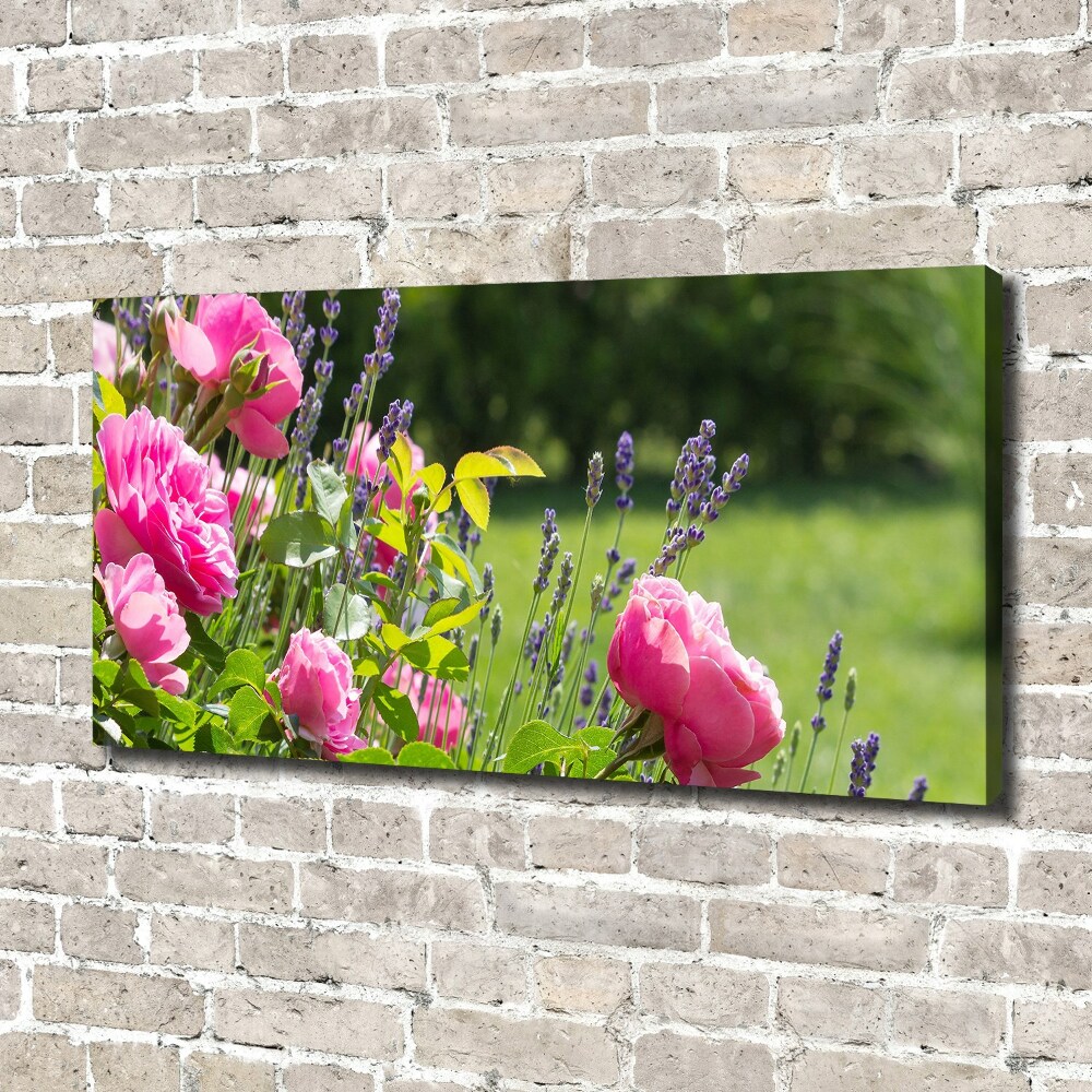 Canvas wall art Wild Rose