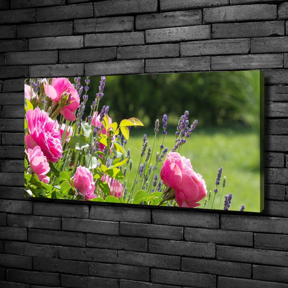 Canvas wall art Wild Rose