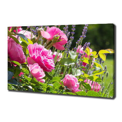 Canvas wall art Wild Rose