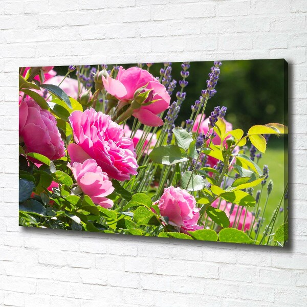 Canvas wall art Wild Rose