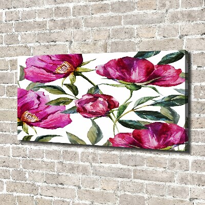 Canvas wall art Pink peonies