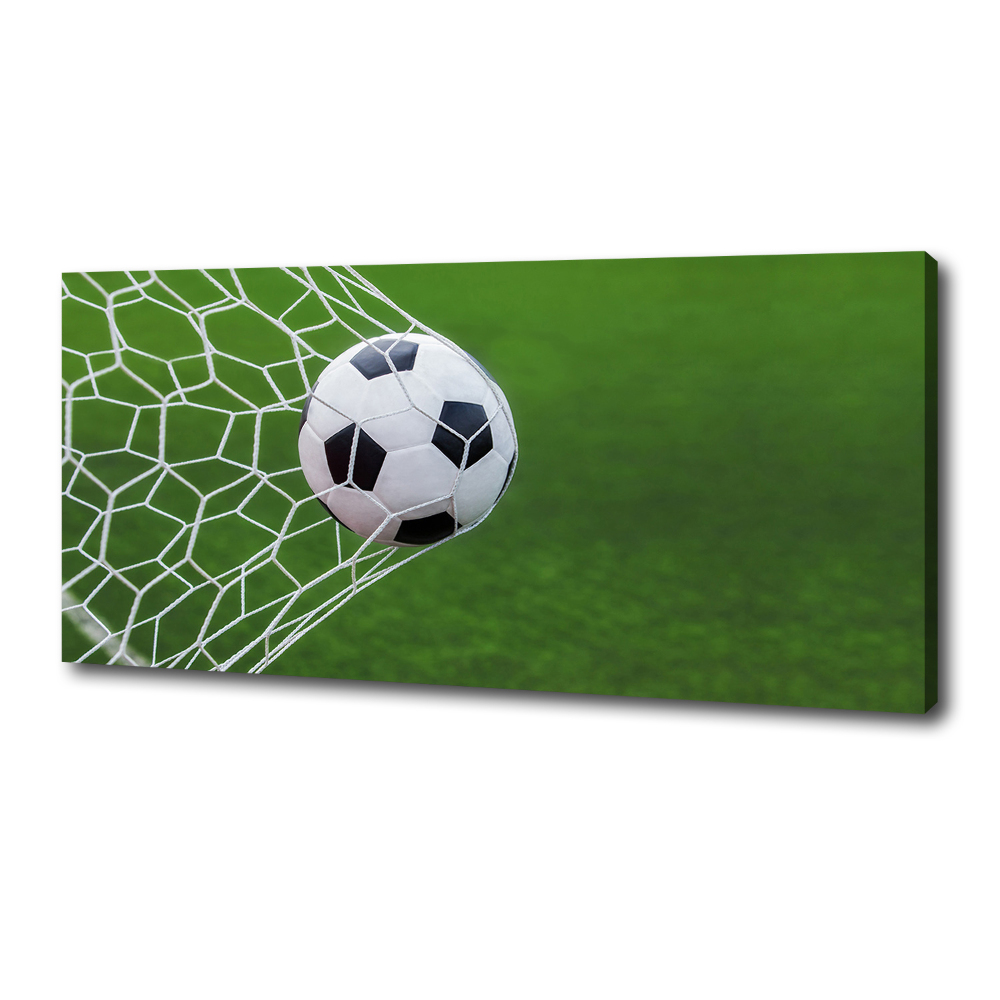 Canvas wall art Ball in the goal