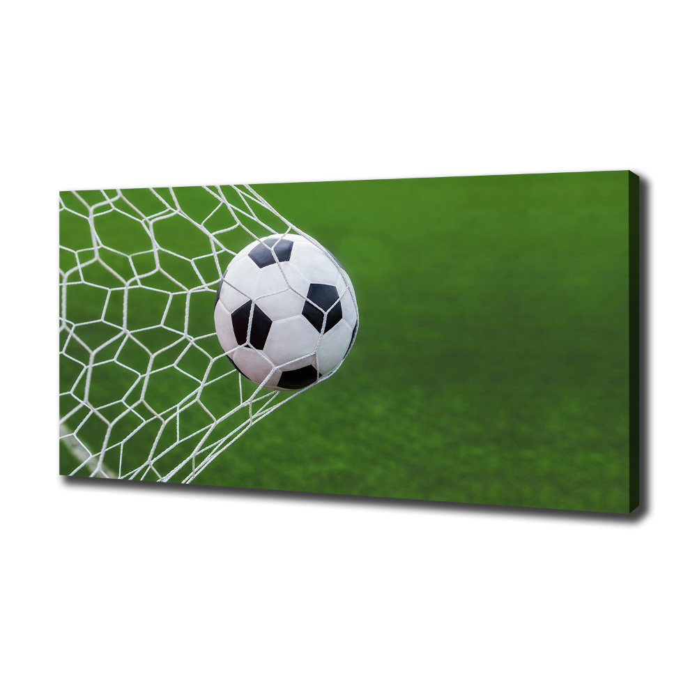 Canvas wall art Ball in the goal