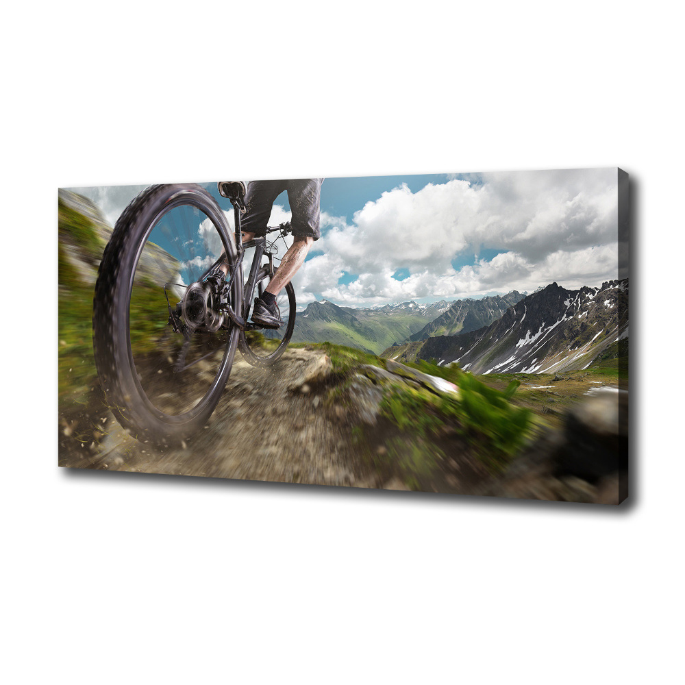 Canvas wall art Mountain biking