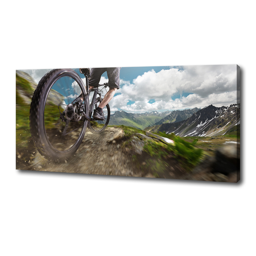 Canvas wall art Mountain biking