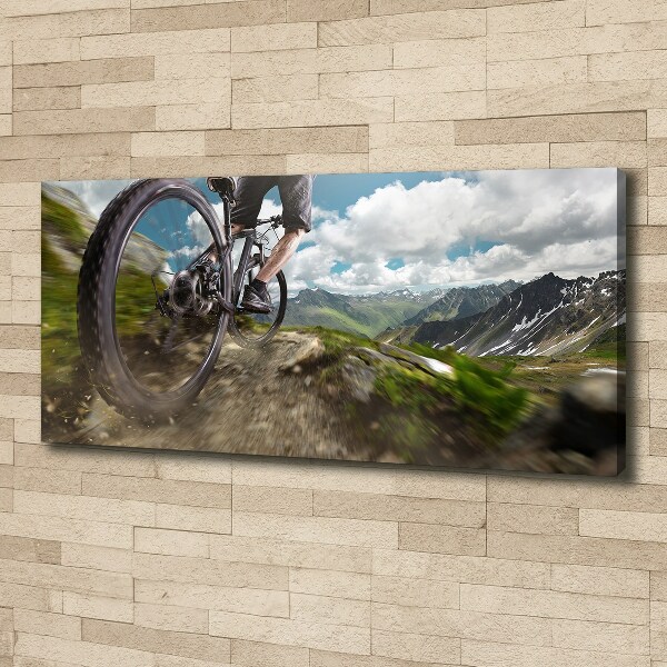 Canvas wall art Mountain biking