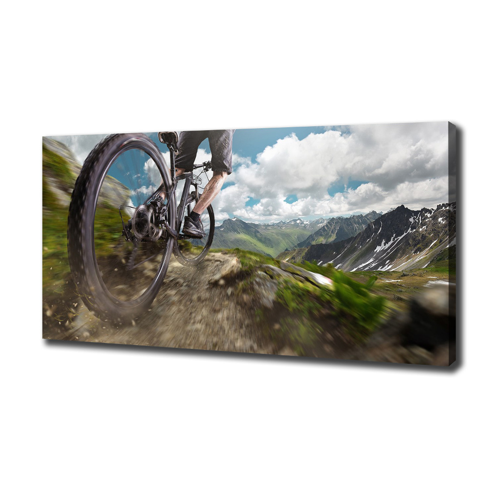 Canvas wall art Mountain biking