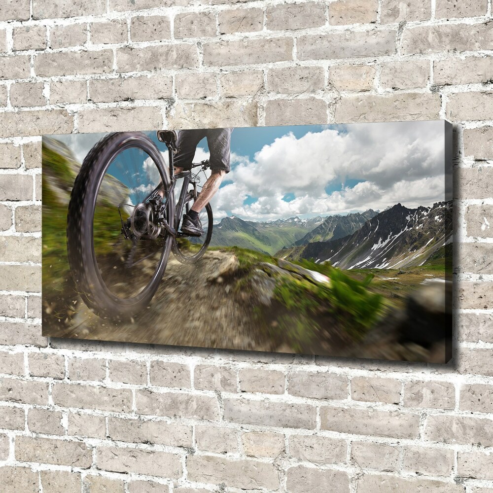 Canvas wall art Mountain biking