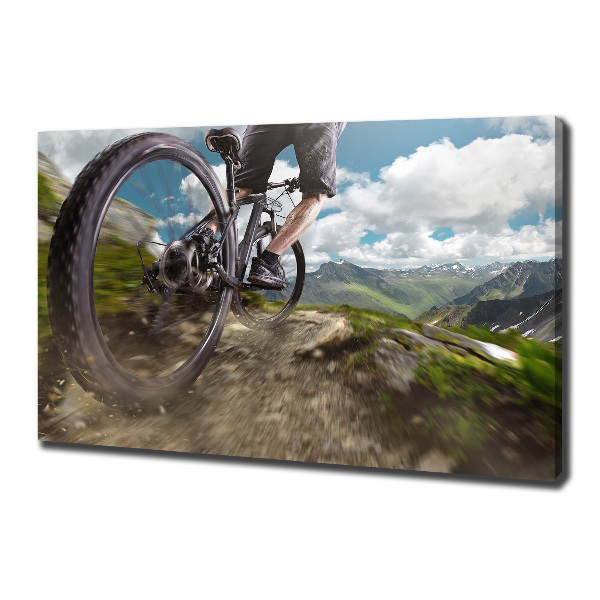 Canvas wall art Mountain biking