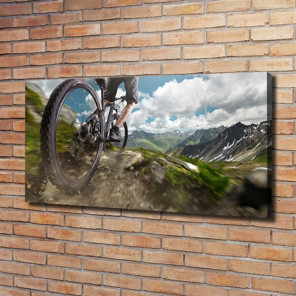 Canvas wall art Mountain biking