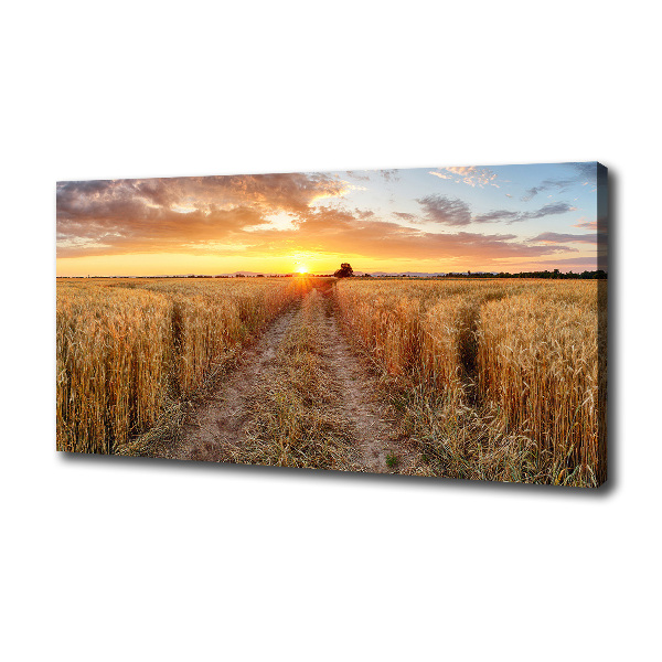 Wheat field