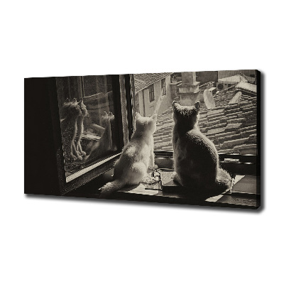 Canvas wall art Cats by the window