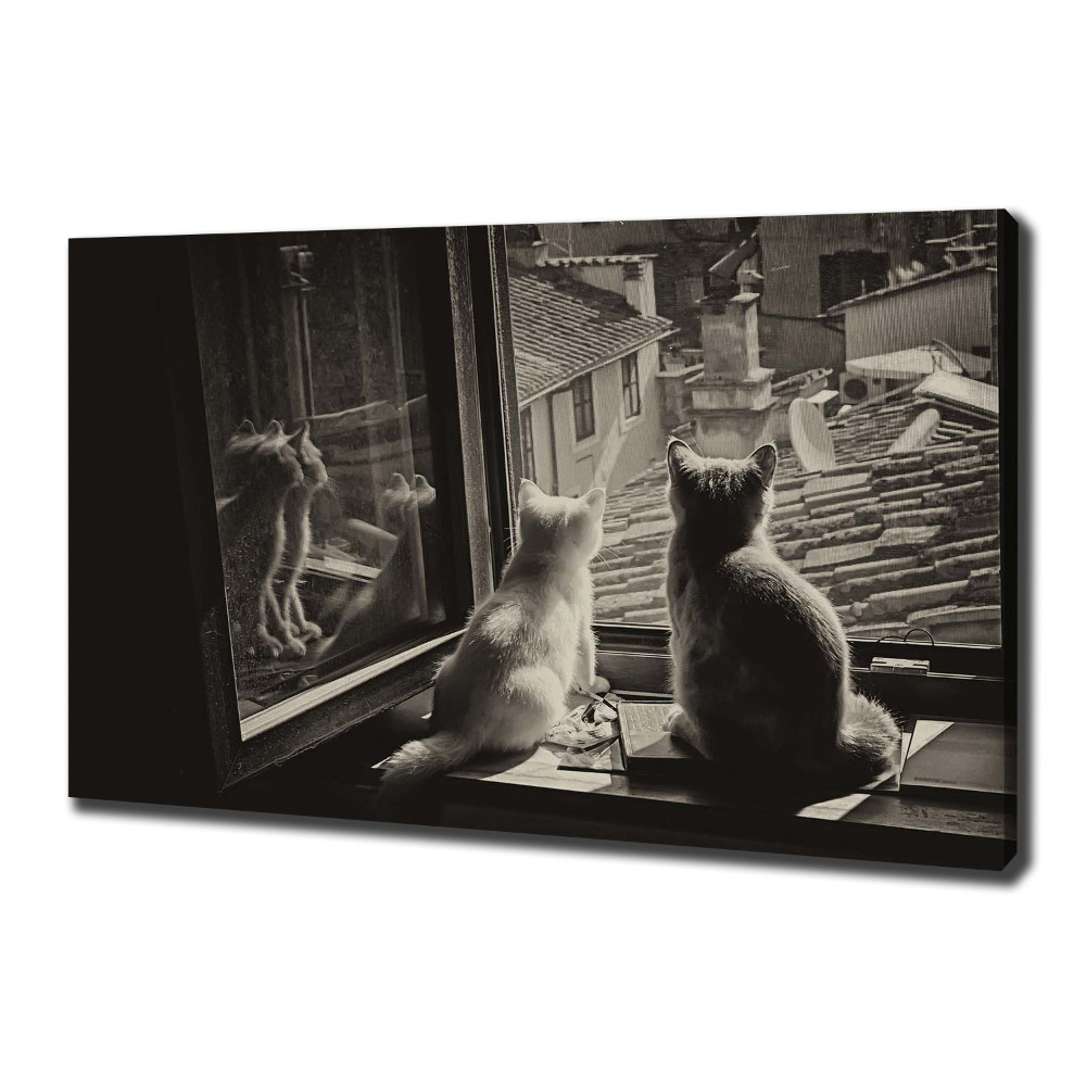 Canvas wall art Cats by the window