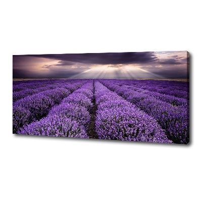 Canvas wall art Lavender field