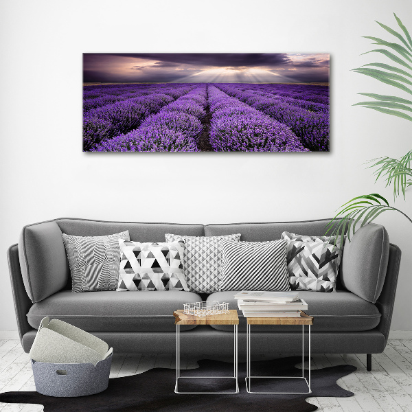 Canvas wall art Lavender field