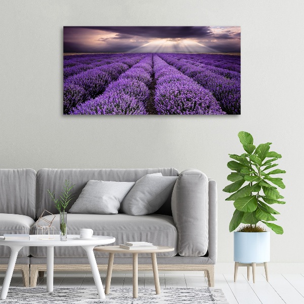 Canvas wall art Lavender field