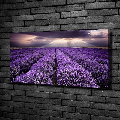 Canvas wall art Lavender field