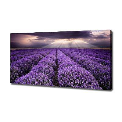 Canvas wall art Lavender field