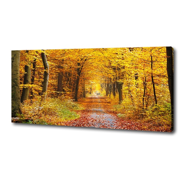 Canvas wall art Forest in autumn