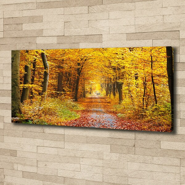 Canvas wall art Forest in autumn